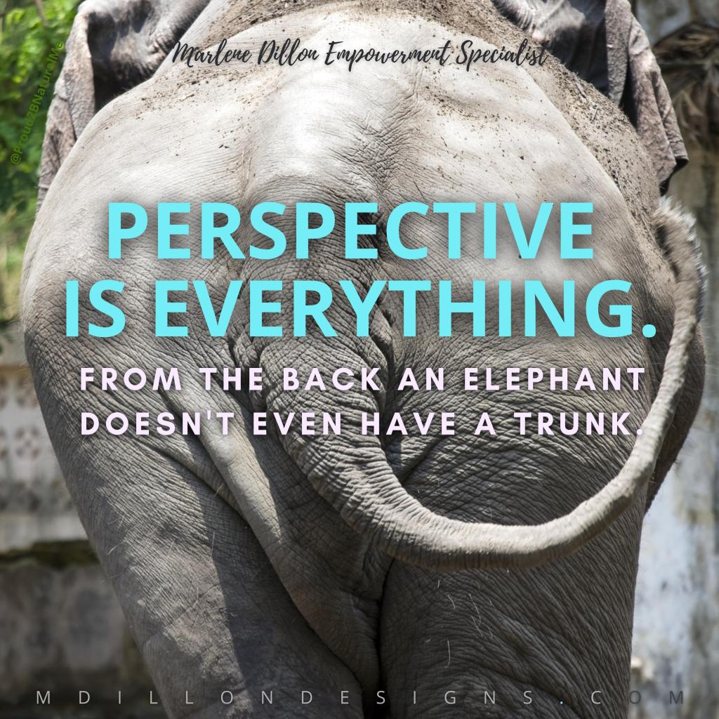 Image of the rear end of an elephant. Text states: Marlene Dillon Empowerment Specialist "Perspective is everything. From the back an elephant doesn't even have a trunk." mdillondesigns.com