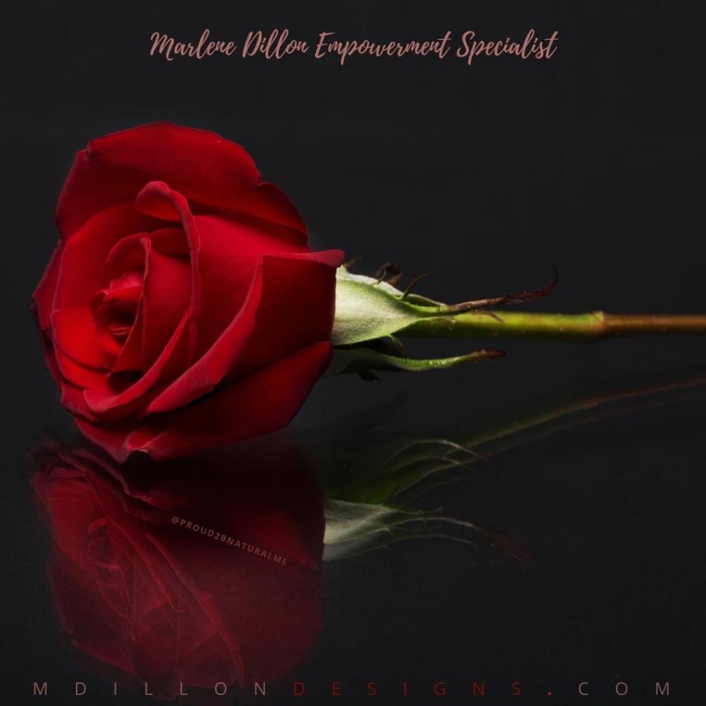 Photo of a single rose laying on a reflective surface. Black background. Text states Marlene Dillon Empowerment Specialist mdillondesigns.com @Proud2BNaturalMe