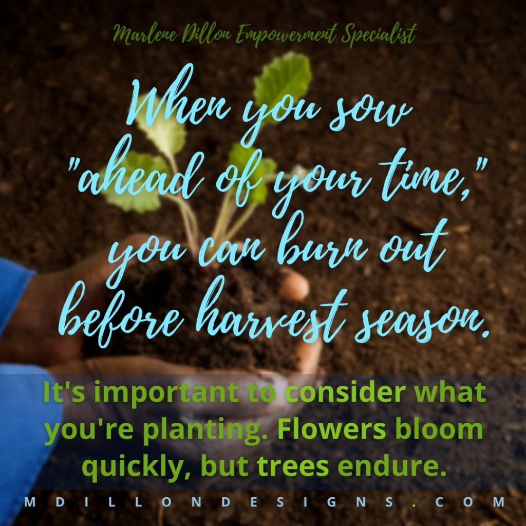 Image of hands holding soil and a small plant above the ground/more soil as if preparing to plant it. Text that states Marlene Dillon Empowerment Specialist 'When you sow "ahead of your time," you can burn out before harvest season. It's important to consider what you're planting. Flowers bloom quickly, but trees endure.' mdillondesigns.com