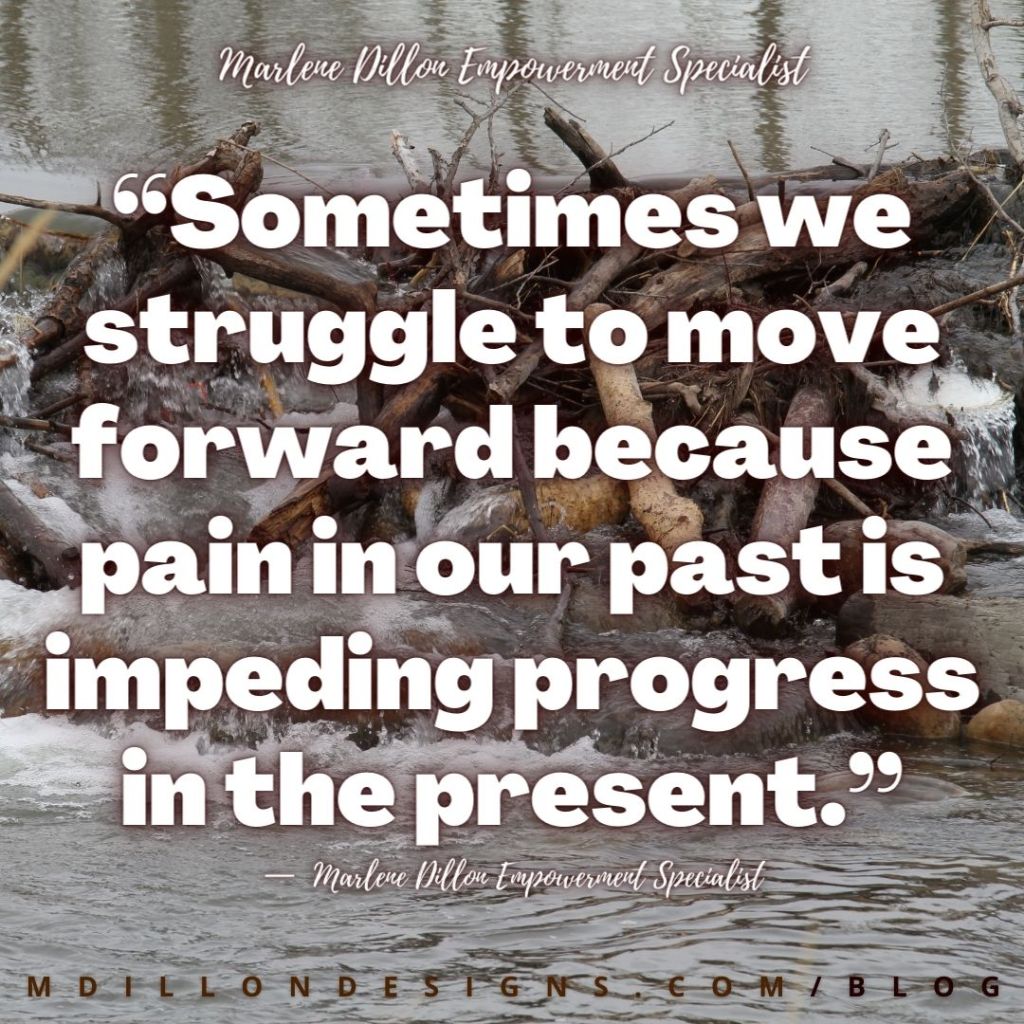 “Sometimes we struggle to move forward because  pain in our past is impeding progress in the present.”
Marlene Dillon Empowerment Specialist
M D I L L O N D E S I G N S . C O M / B L O G
—  Marlene Dillon Empowerment Specialist