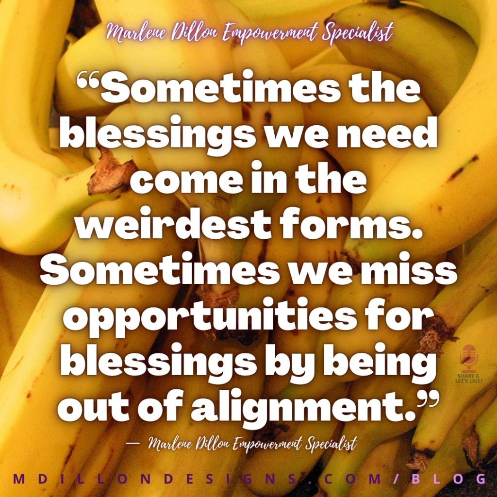 “Sometimes the blessings we need come in the weirdest forms. Sometimes we miss opportunities for blessings by being out of alignment.”
—  Marlene Dillon Empowerment Specialist
mdillondesigns.com/blog