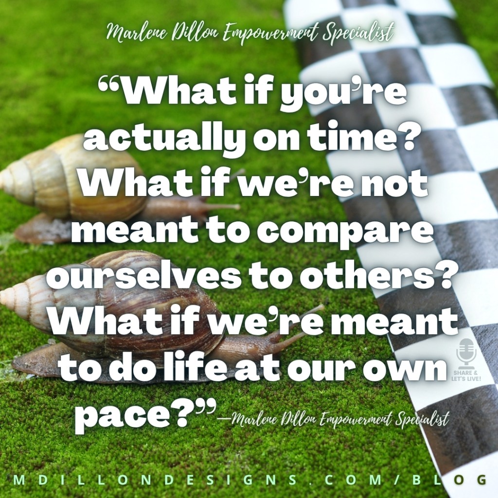 Meme: Image of two snails racing in the grass toward a black & white checker board finish line. Text states: Marlene Dillon Empowerment Specialist “What if you’re actually on time? What if we’re not meant to compare ourselves to others? What if we’re meant to do life at our own pace?”
—Marlene Dillon Empowerment Specialist
Share & Let's Live Podcast logo watermark
mdillondesigns.com/blog